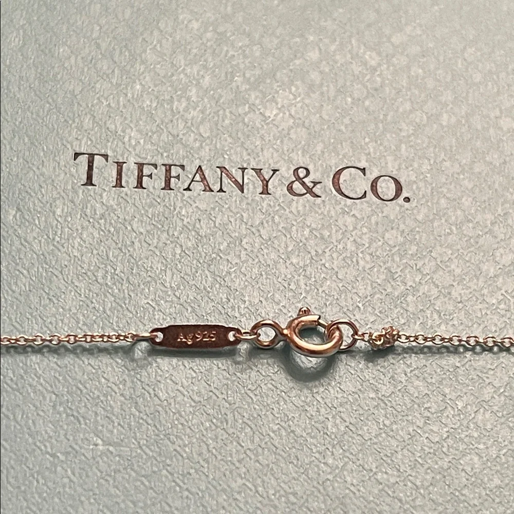 Tiffany & Co. Sterling Silver Infinity Necklace Set - Picture 9 of 9